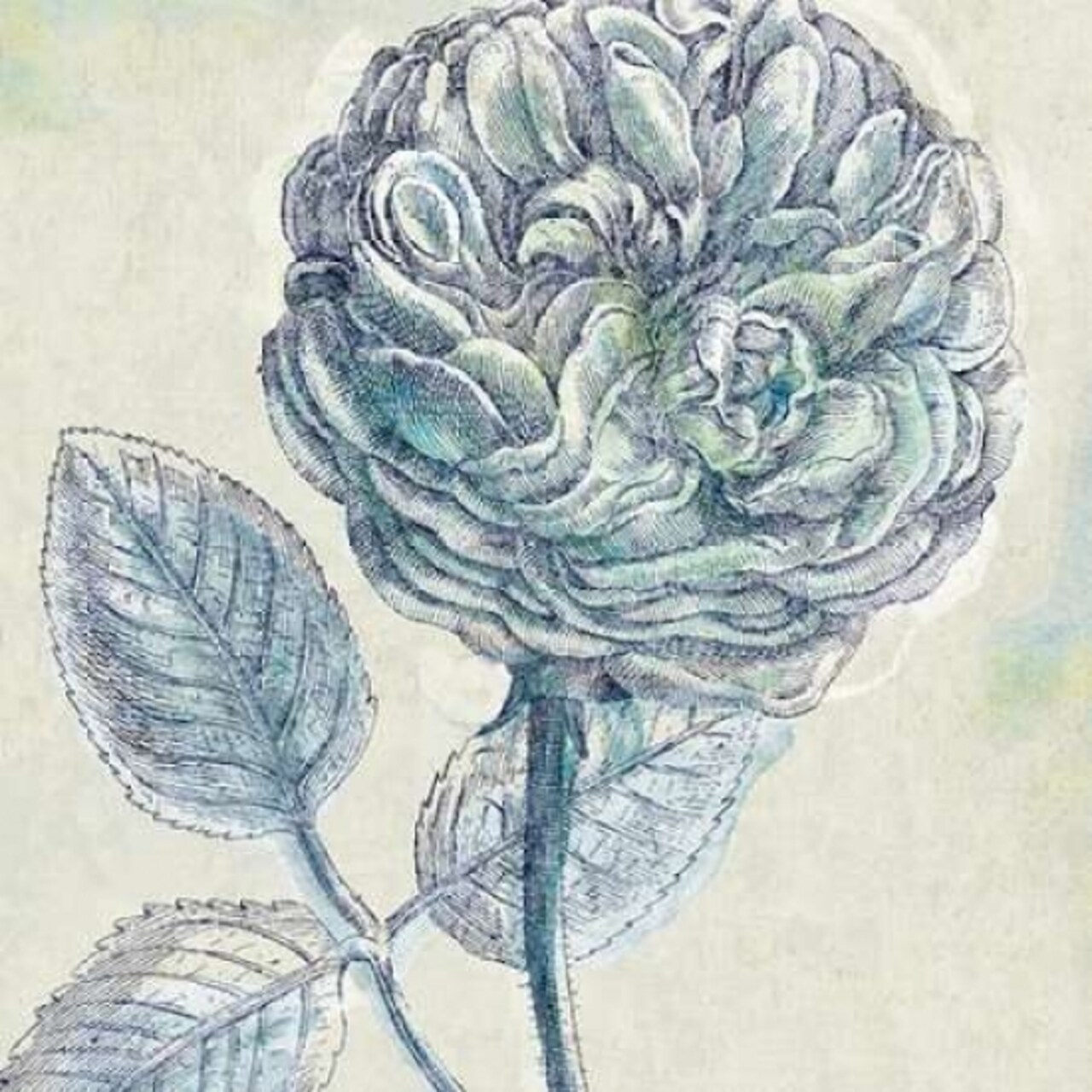 Belle Fleur III Poster Print by Sue Schlabach - Item # VARPDX20085